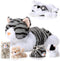 Skylety 5 Pieces Cat Stuffed Animal with Babies Inside Belly Plush Cat