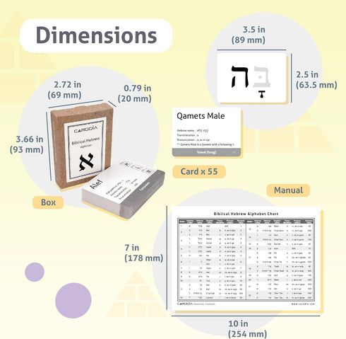 CARDDIA | Biblical Hebrew Alphabet Educational Flashcards, Includes Consonants, Vowels, Dagesh, and Final Forms
