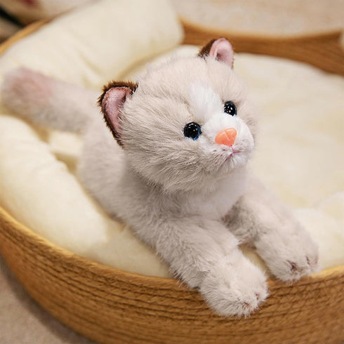 9.8" PEACH CAT Cat Stuffed Animal Realistic Kitten Plushies Soft Plush Toys Gifts for Kids Grey and White