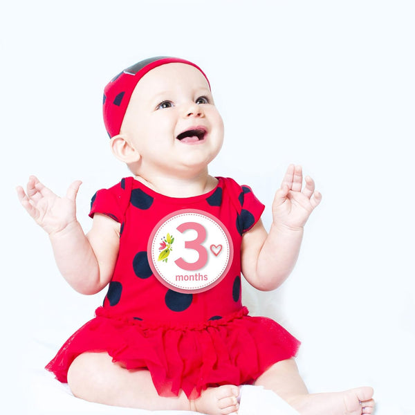 Baby Monthly Milestone Stickers for Girls, Floral Designs with Holiday Themes, First Year