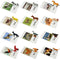 Farm Animal Toys with Flash Cards - 12 Sets of Realistic Figures, Educational Cognitive Toys for Toddlers