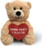 Zamnnn Shawty U Hella Fine - 10" Teddy Bear & Gift Bag, Funny Stuffed Animal Plush Gift for Girlfriend, Boyfriend