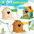 2 Pack 6+ Juexica DIY Birdhouse Kits for Kids Ages Build and Paint Wooden Bird House Arts and Craft Project with Paint