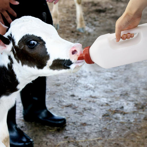 MODUODUO 2.11 Calf Bottle Lamb Feeding Nipple Quart Calves Nursing Feeder with a Replacement Teat for Baby Livestock