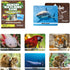 Menique Wild Animals Memory Matching Game, 80 Cards with Real Photos, Educational Booklet Included for Kids & Adults