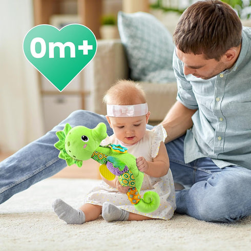 Baby Toys Musical Seahorse, Infant Stuffed Animal with Crinkle and Rattles, Soft Sensory Toys for Newborn Boys Girls