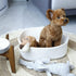 Woven Cotton Rope Storage Basket, White - Cube Organizer for Baby Nursery, Closet Towels, Small Dog Cat Toy Box