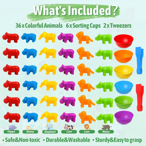 Counting Sorting Toys - RAEQKS Matching Stacking Toys with Bowls for Preschool Learning Activities Educational Sensory