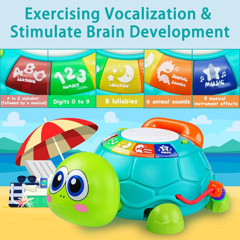 6 12 7 8 9 10 11 1-2 Ussybaby Baby Crawling Toys to Months, Infant Turtle Musical Toys with Phone Hand DrumBaby Months