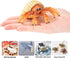 6PCS Hermit Crab Figurines Toys,Ocean Sea Animals Toys Figures, Realistic Soft Sea Creatures Toys for Kids Boys