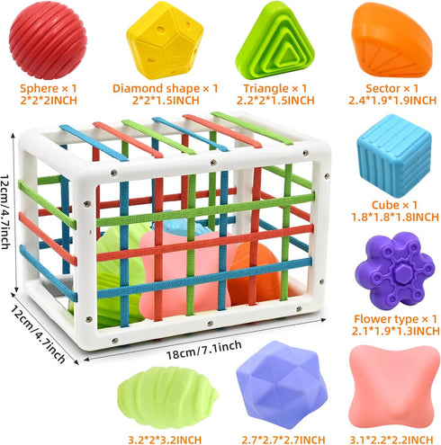 AiTuiTui Montessori Baby Toys for 1 Year Old, Shape Sorter with 3 Soft Textured Balls for Early Learning