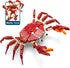 Ocean Animal Building Blocks (242PCS), Deep Sea Creatures Building Toy Set for Kids, Boys and Girls Crab