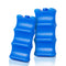 Teamoy Breastmilk Ice Pack - Pack of 2, Bottle Ice Packs for Breastmilk Storage for Working Moms
