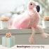 Bearington Collection Lil’ Fifi Stuffed Animal, Ultra-Soft 7” Flamingo Toy, Pink Fur and Fuzzy Wings