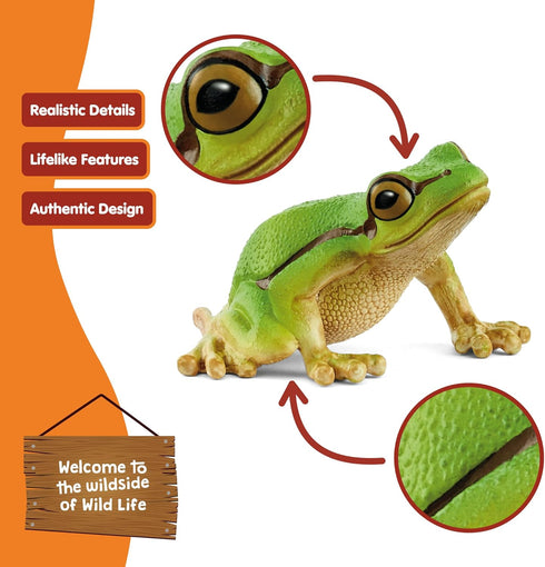 3+ 14882 Schleich Wild Life - European Tree Frog Toy Figurine. Realistic Hand-Painted Animal Toys for Boys and Girls.
