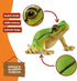 3+ 14882 Schleich Wild Life - European Tree Frog Toy Figurine. Realistic Hand-Painted Animal Toys for Boys and Girls.