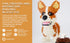 Ulanlan Adult Building Sets, Bricks Corgi, Micro Bricks Dog Animal Building Toy Bricks Dog for Dog Lover, Women, Girl 14+, Teens or Adult, 1380 Pieces (JX004)