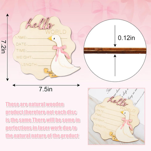 FYSUIMU Silly Goose Birth Announcement Sign Pink Bow Goose Newborn Milestone Wooden Board Hello World Newborn Sign