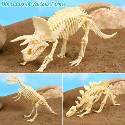 NUOLUX 3Pcs 4D Dinosaur Fossil Skeleton Toys