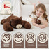 24 Inch 4 Cozy Weighted Bear Stuffed Animal Brown Bear Plush Toy Pound Soft Fur Long Arms Hugging Toy Gift for Kids
