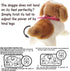 PowerTRC Cute Somersault Little Puppy | Pet Toy Dog Barks, Sits, Walk, and Flips