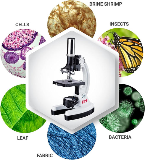 AmScope 120X-1200X Beginner Microscope STEM Kit, 52-pcs with Metal Body, LED Light, and Carrying Box