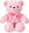 16 Inches Girl's First Bear Plush, Soft Cute Bear with Bow, Birthday Gifts for Girls