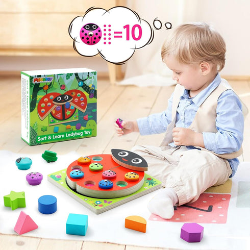 MOONTOY Toddler Wooden Counting Ladybug Montessori Toys, Birthday Gift Magnetic Fishing Game for Kids