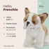 Bearington Frenchie Stuffed Animal, 13 Inch French Bulldog Plush Toy
