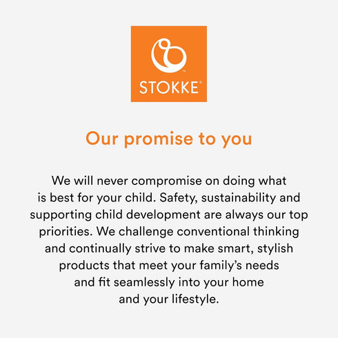 Stokke Nomi Play with Loops for Hanging Toys, Clicks onto Nomi Newborn Set, for Ages 0-6 Months
