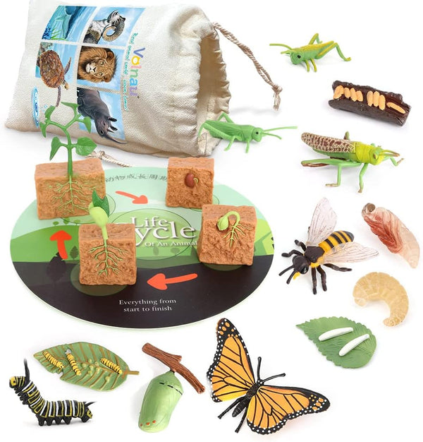 Volnau 16PCS Animal Figurines Toys Life Cycle Set for Toddlers Kids Plant Locust Butterfly Caterpillars Bee Educational