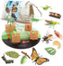 Volnau 16PCS Animal Figurines Toys Life Cycle Set for Toddlers Kids Plant Locust Butterfly Caterpillars Bee Educational