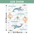 Dalzium Whales Air Balloons Lighthouses Clouds Rainbows Car Seat Cover Baby, Carseat Canopy Cover for Girl Boy
