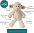 Mary Meyer Marshmallow Junior Lamb Soft Toy - 9 Inch
