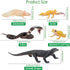 Toymany 12PCS Reptile Animal Figurine Toys Set: Cold Blooded Amphibians, Desert Animal Figures, Gift Party Favor