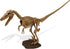 Uncle Milton Dr. Steve Hunters Paleo Expedition Dino Dig Excavation Kit Velociraptor - 14 Piece Educational Toy