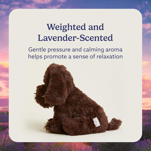 warmies Microwavable & Weighted Stuffed Animals, Chocolate Lab - Heated Stuffed Animal Plushie for Warmth & Comfort