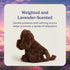 warmies Microwavable & Weighted Stuffed Animals, Chocolate Lab - Heated Stuffed Animal Plushie for Warmth & Comfort