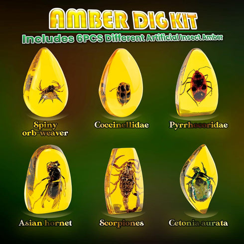 GobiDex Amber Dig Kit, Excavate 6 Insects Specimens, STEM Geographic Educational Bugs Toys for Kids Age 6-12