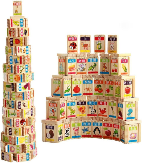 New Chinese English Language Learning Wooden Blocks, Domino Children's Educational Product, 100pcs