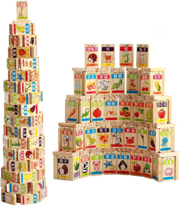New Chinese English Language Learning Wooden Blocks, Domino Children's Educational Product, 100pcs