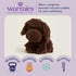 warmies Microwavable & Weighted Stuffed Animals, Chocolate Lab - Heated Stuffed Animal Plushie for Warmth & Comfort
