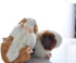 8 Inch Black and Orange Guinea Pig Plush Toy Stuffed Animal Doll