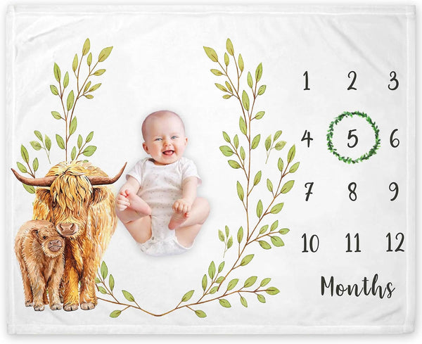 Highland Cow Baby Growth Chart Monthly Blanket, Milestone Blanket for New Moms Baby Shower (50"x40")