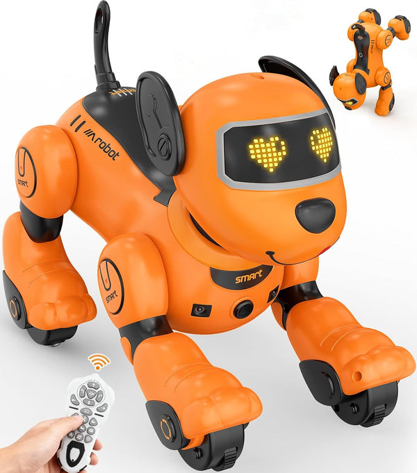 anysun Robot Dog for Kids, Remote Control Dog with Voice and Touch