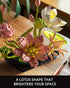 Set (506 NF10334) Nifeliz Lotus Flower Building for Adults, Botanical Decoration for Table or Office, A Nature-Inspired