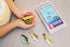American Angler Collection Toy Fish Set with Collector Case, Miniature Figurine Fish by Toy Fish Factory