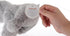 Apricot Lamb Toys Plush Gray Plush Koala Stuffed Animal - Soft Cuddly Perfect for Child - 8 Inches