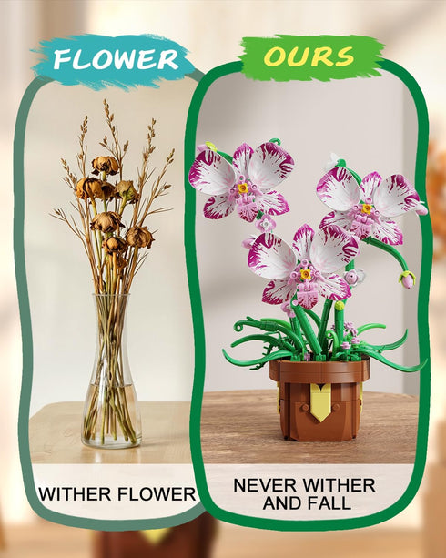 EITOLNR Set 6-12 (323 Flowers Botanicals Orchid Building - Artificial Flower Building Blocks for Adult Women, Bonsai