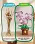 EITOLNR Set 6-12 (323 Flowers Botanicals Orchid Building - Artificial Flower Building Blocks for Adult Women, Bonsai